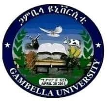 Gambella University